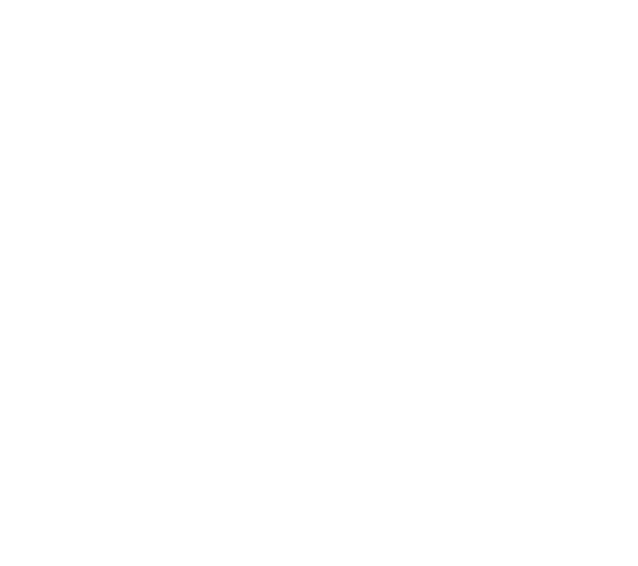 Logo Seal Telecom