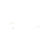 Logo Sky2c