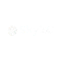 Logo Sky2c