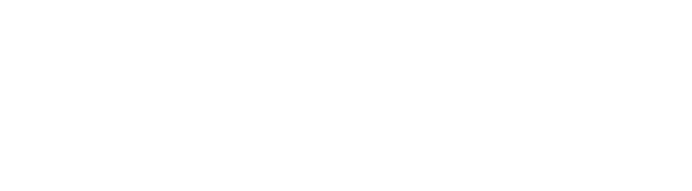 Logo soinfco