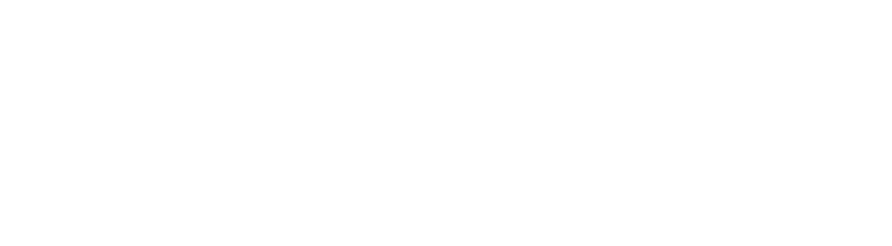 Logo soinfco