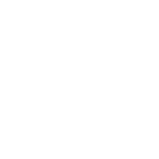 Logo Securitas